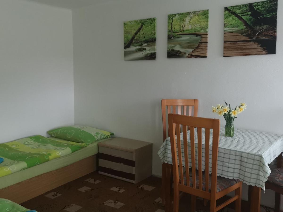 Penzion Tomy Pihlov Horní Planá Exterior foto
